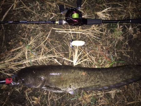 雨+増水+濁り＝絶対